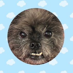 Meet your Posher, Colleen